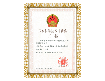 State Scientific and Technological Progress Award