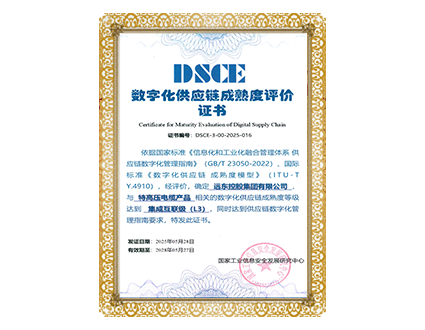Digital Supply Chain Maturity Assessment Certificate
