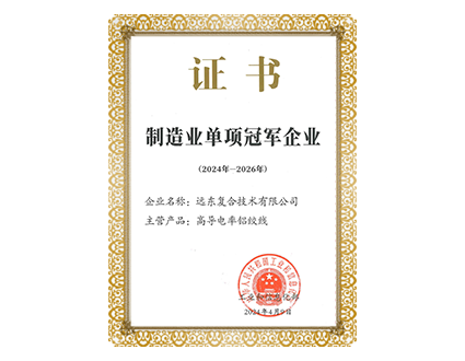 Manufacturing Individual Champion