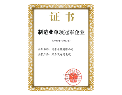 Manufacturing Individual Champion